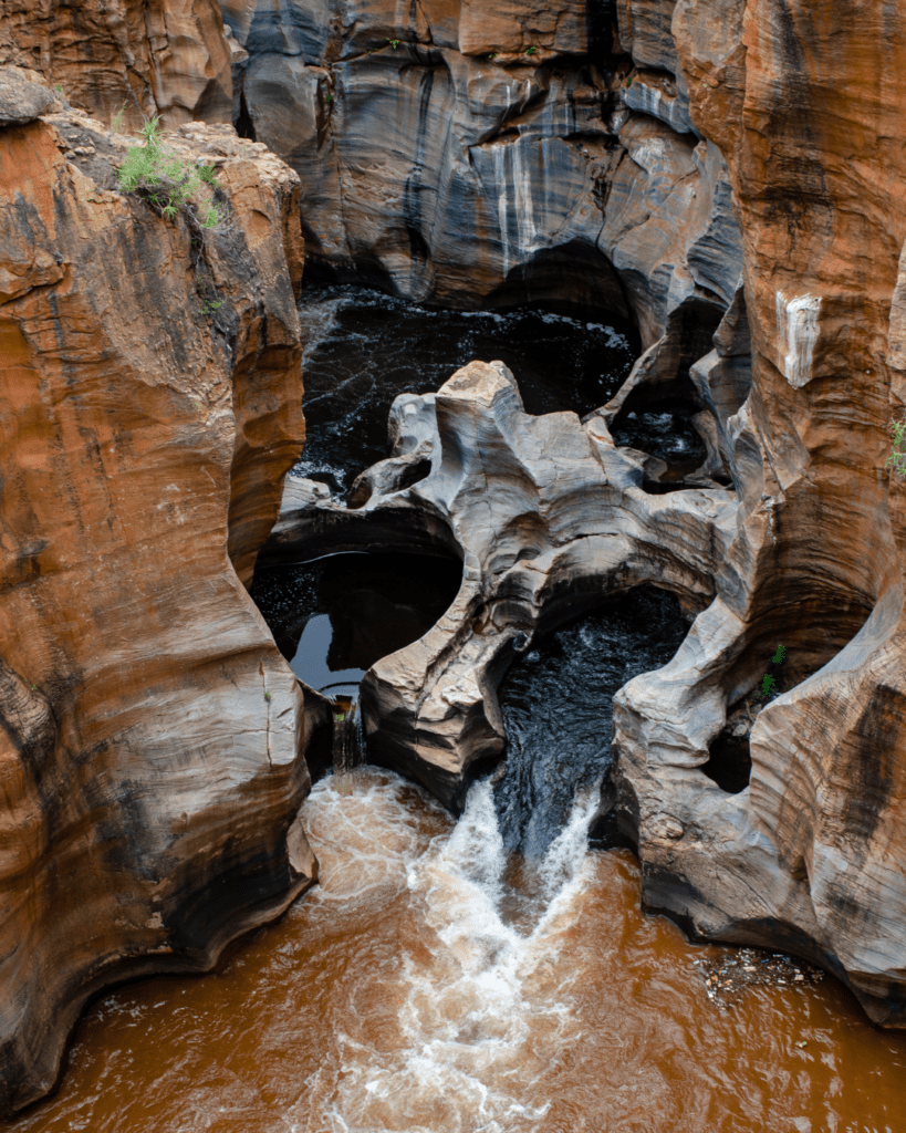 South Africa Hoedspruit