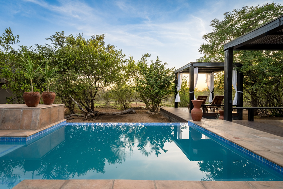 The Baobab Bush Lodge pool 2025