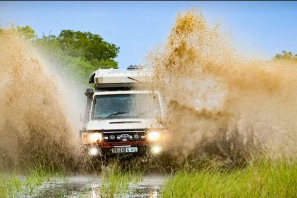 Playfull track in Botswana's Huntersroad